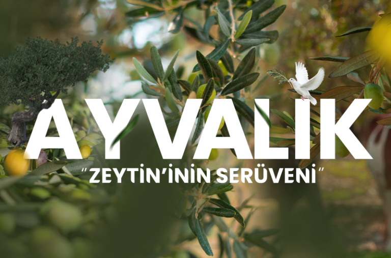 Ayvalık Zeytin'inin Serüveni